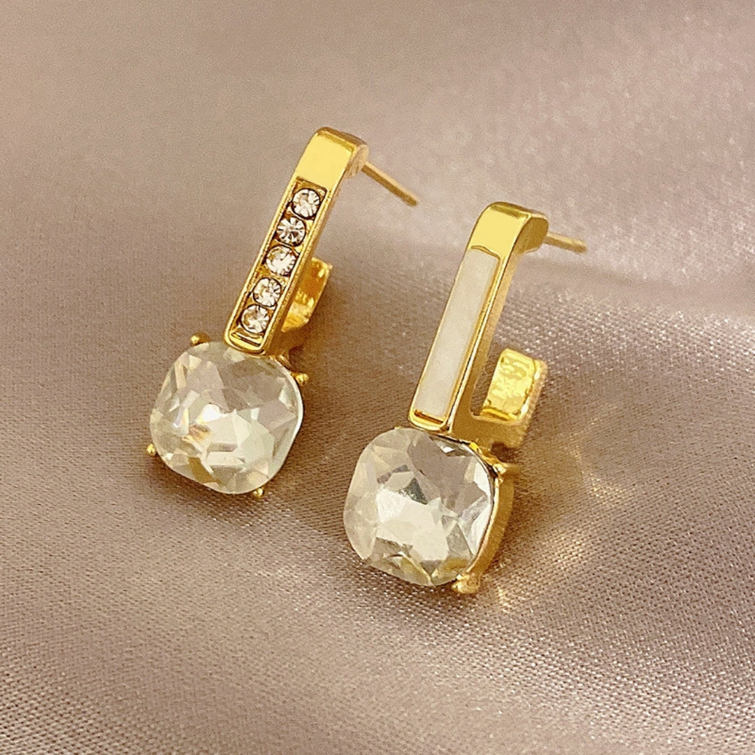 Crystal Frame Hoops Earring