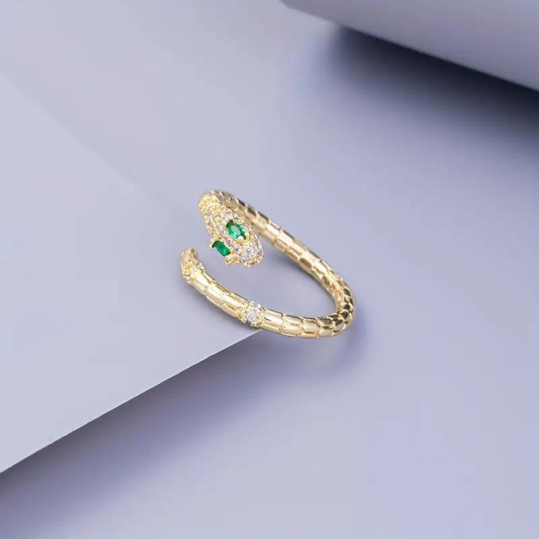 Snake Along Ring