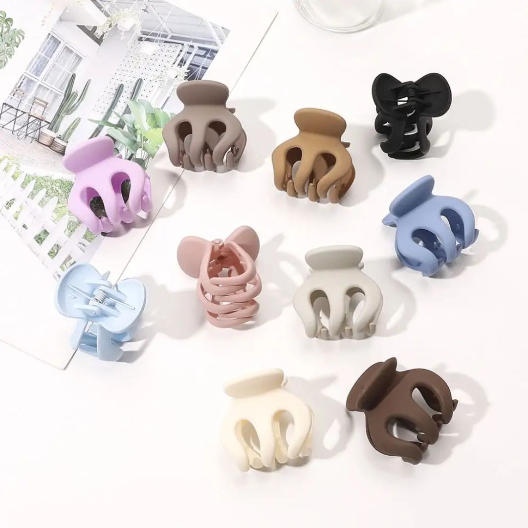Mini Claw Clips (pack of 1)