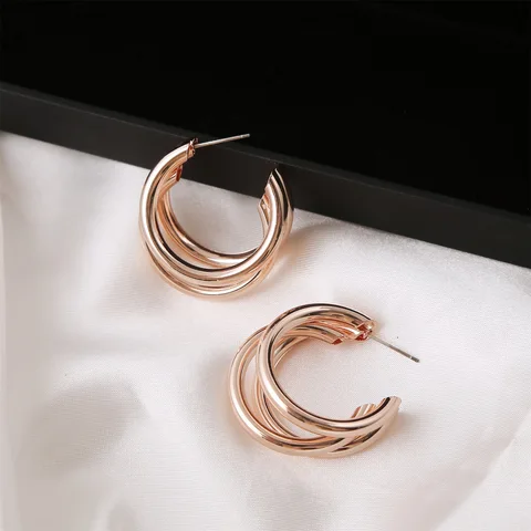 Call It A Day Hoop Earrings ( Rosegold )