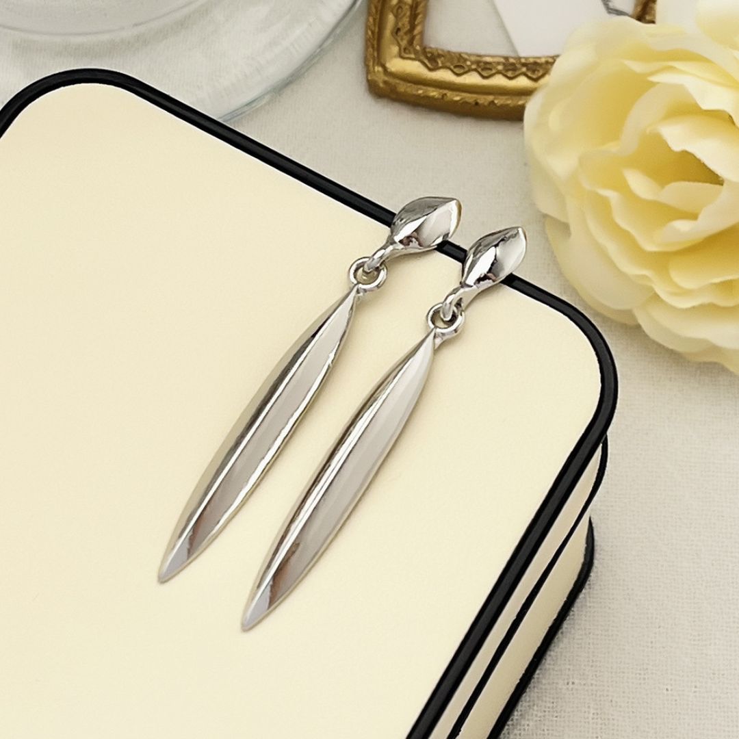 Sleek Silver Drops Earrings