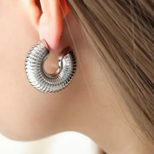 Shinny Twirl Swirl Earrings