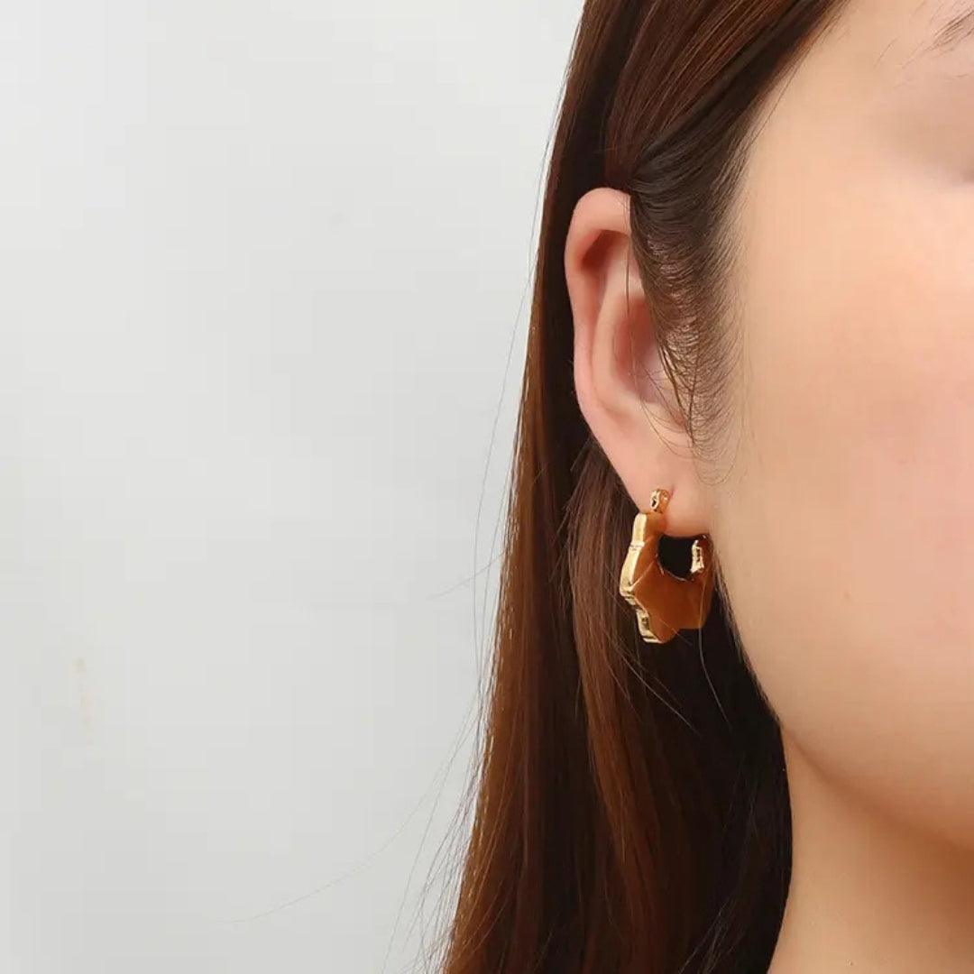 Tarnish Tamer Hoops Earrings