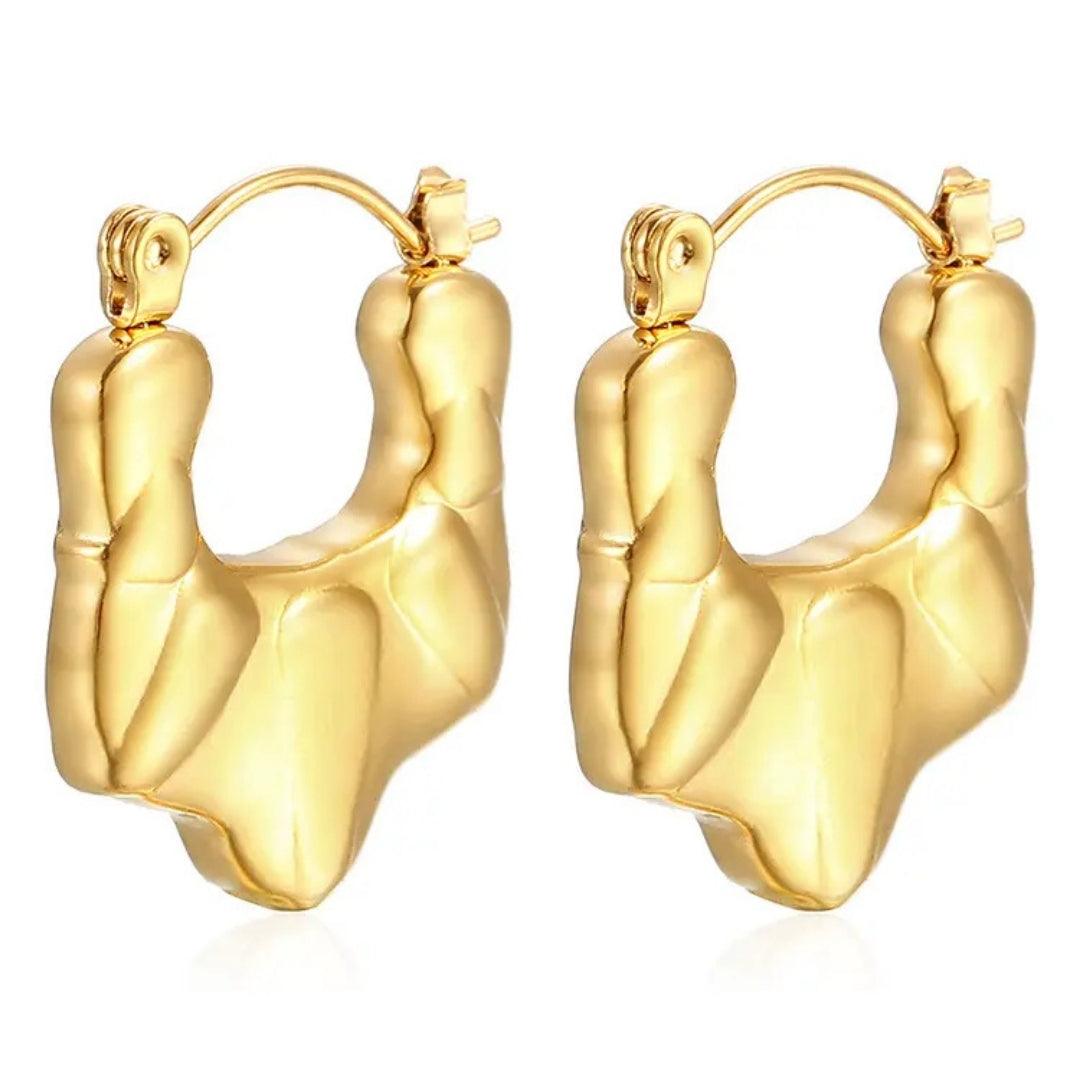 Tarnish Tamer Hoops Earrings