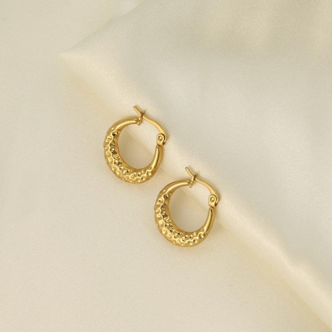 Bling-Tarnish Hoops Earrings