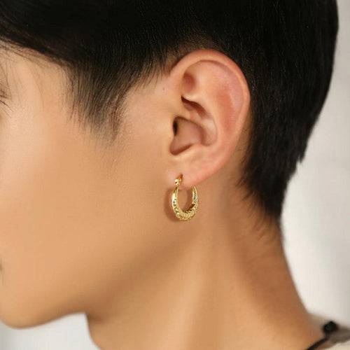 Bling-Tarnish Hoops Earrings
