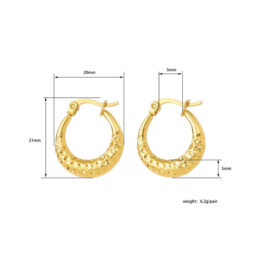 Bling-Tarnish Hoops Earrings