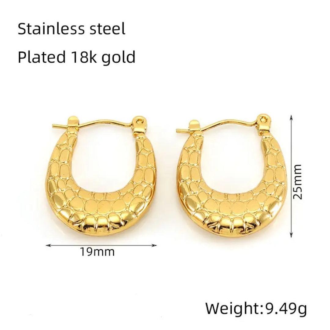 Golden Hoops Earrings