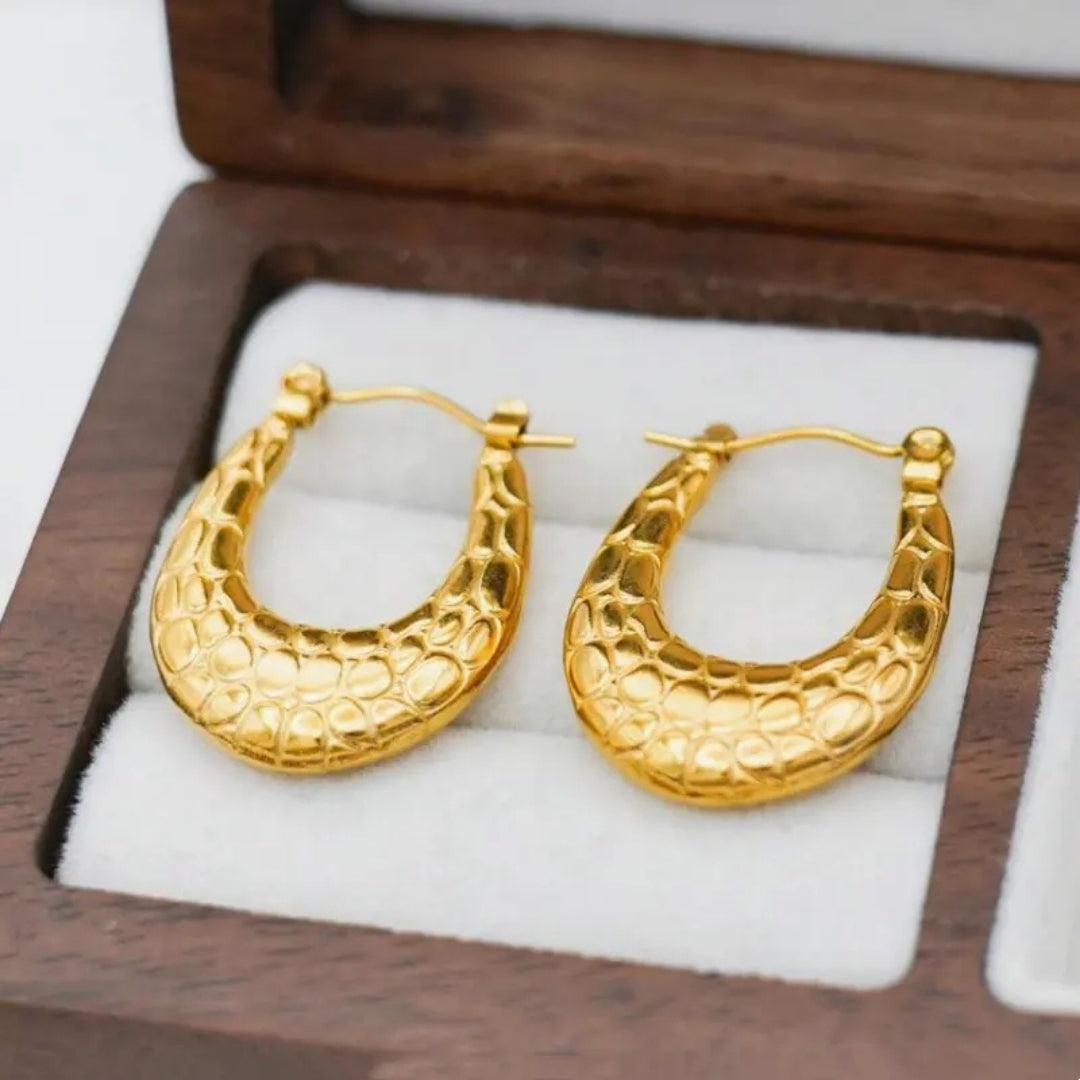 Golden Hoops Earrings