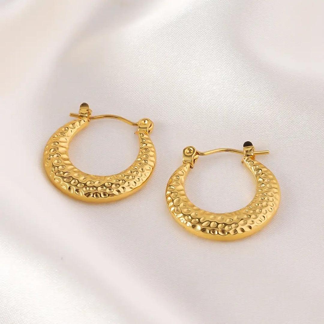 Dazzle Hoops Earrings