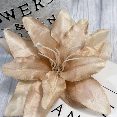 Beige Lily Clip