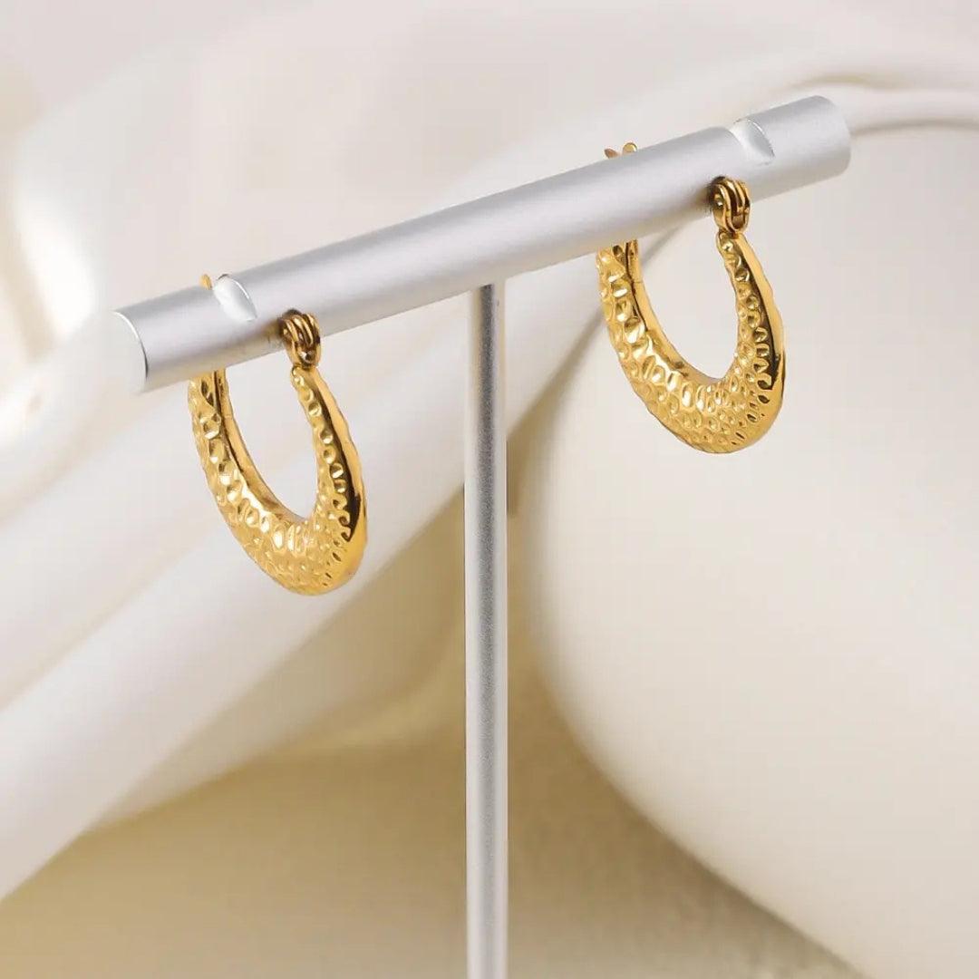 Dazzle Hoops Earrings