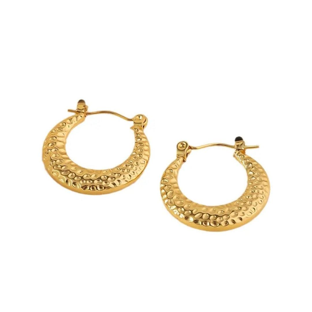 Dazzle Hoops Earrings