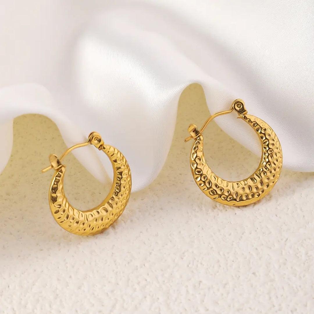 Dazzle Hoops Earrings