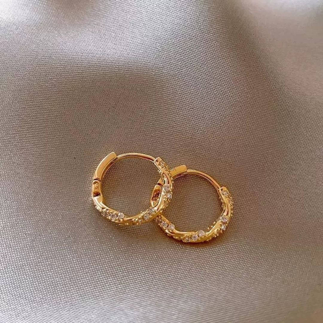 Petite Zircon Embrace Hoops Earrings