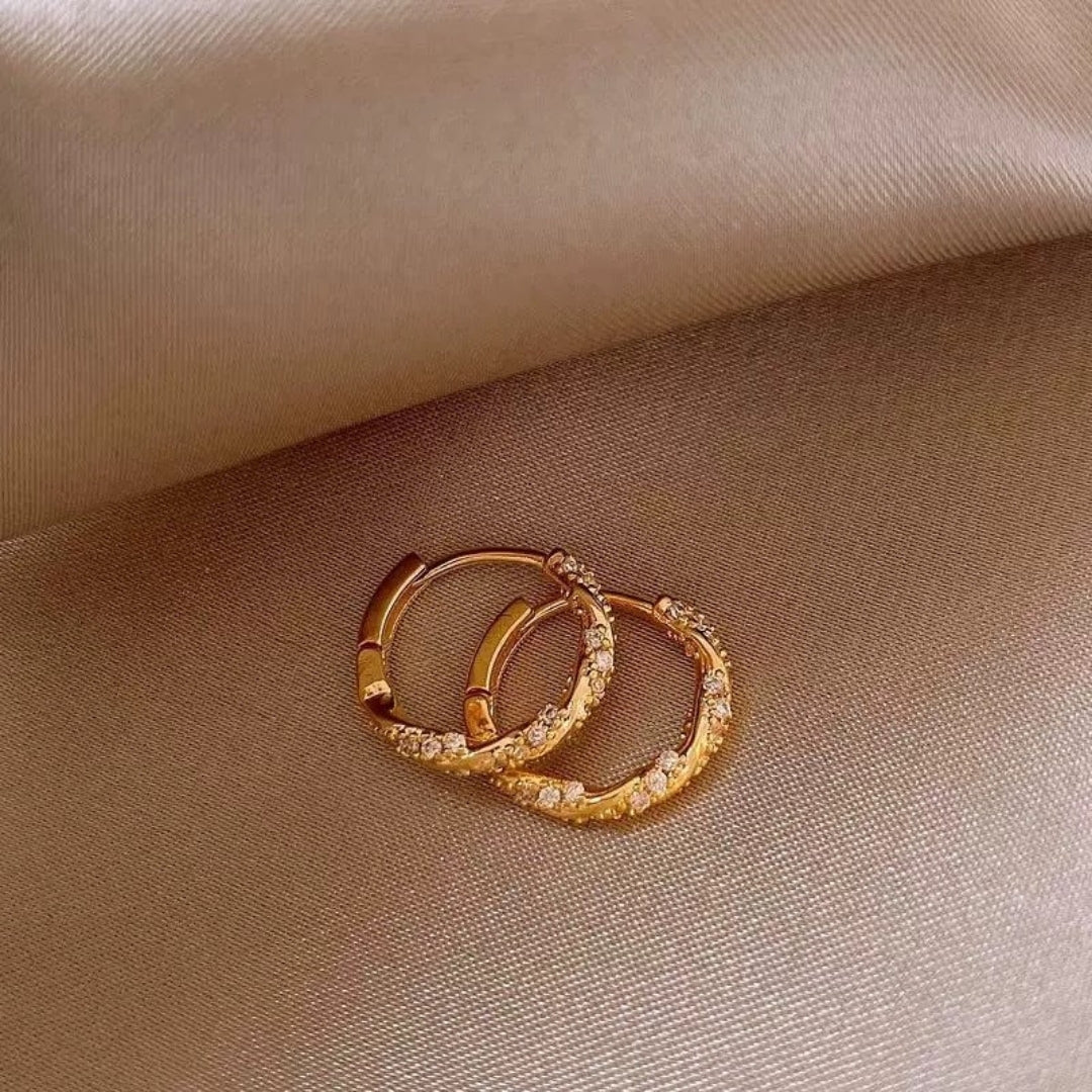 Petite Zircon Embrace Hoops Earrings