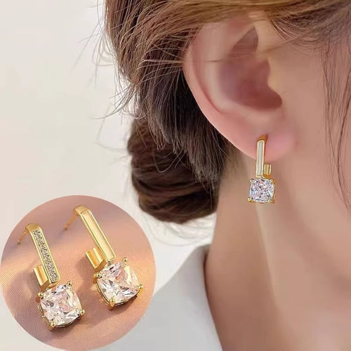 Crystal Frame Hoops Earring