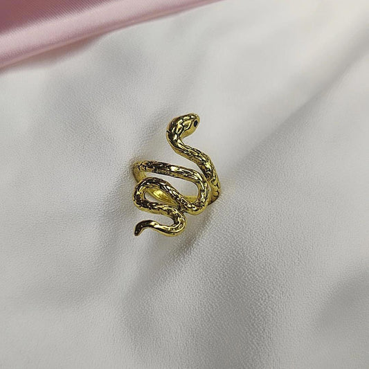 Snake Along Ring