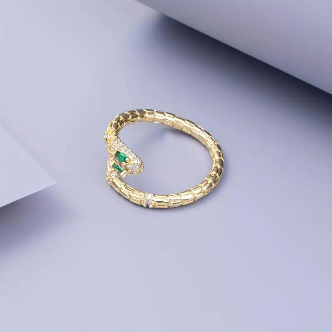 Snake Along Ring