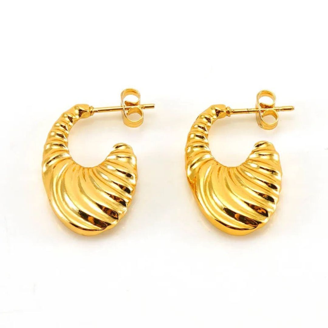 Golden Hoops Earring
