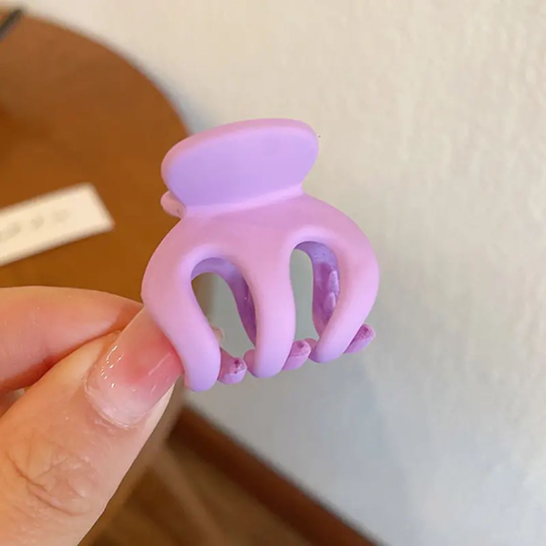 Mini Claw Clips (pack of 1)