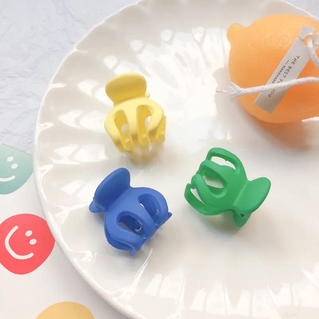 Mini Claw Clips (pack of 1)