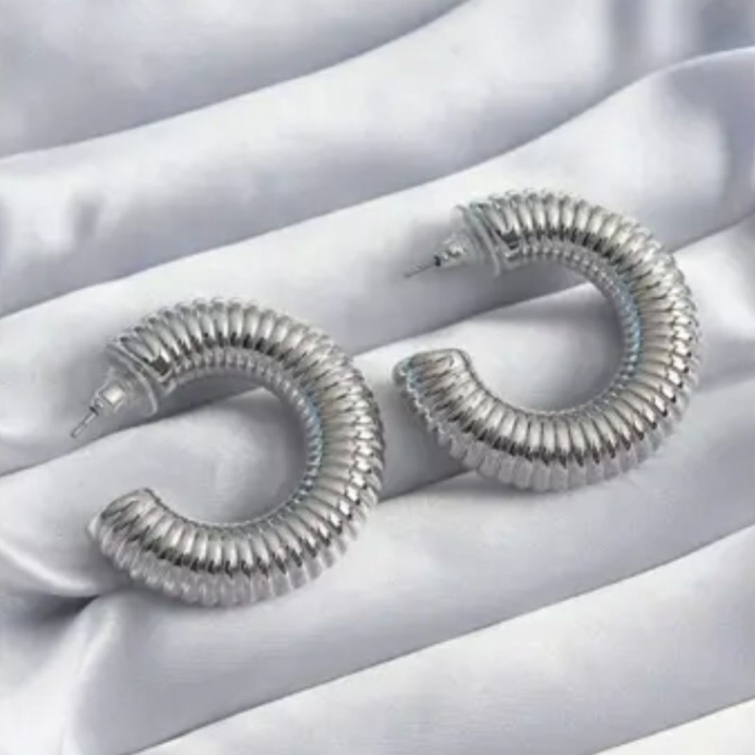 Gleaming Silver Hoops Earrings