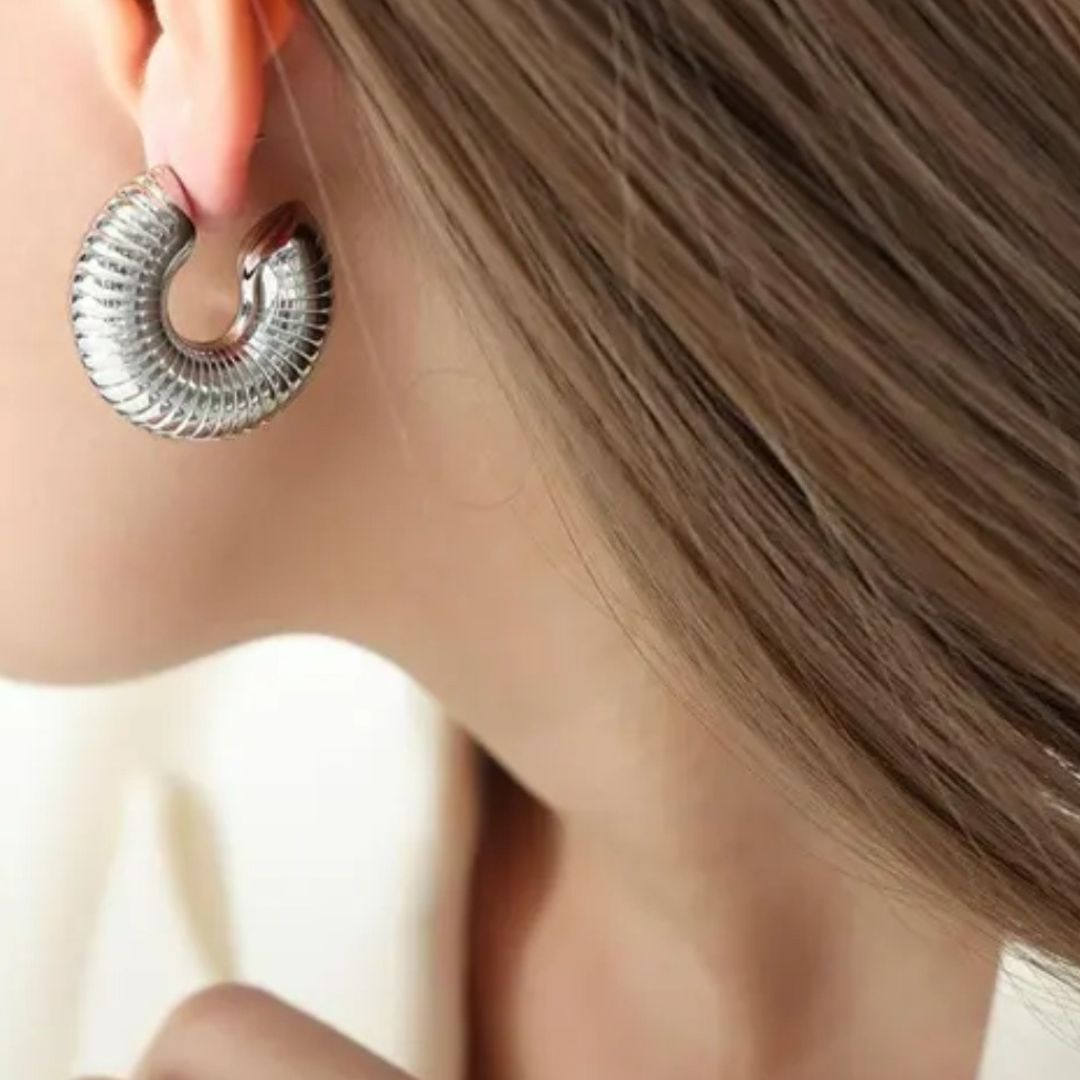 Gleaming Silver Hoops Earrings