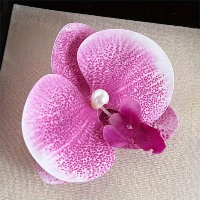 Phalaenopsis orchid Clip