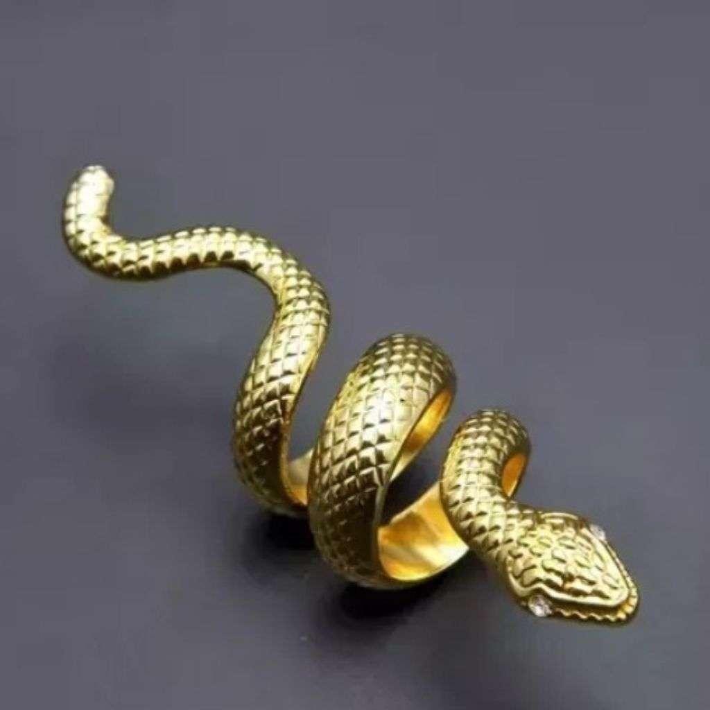 Snake Along Ring